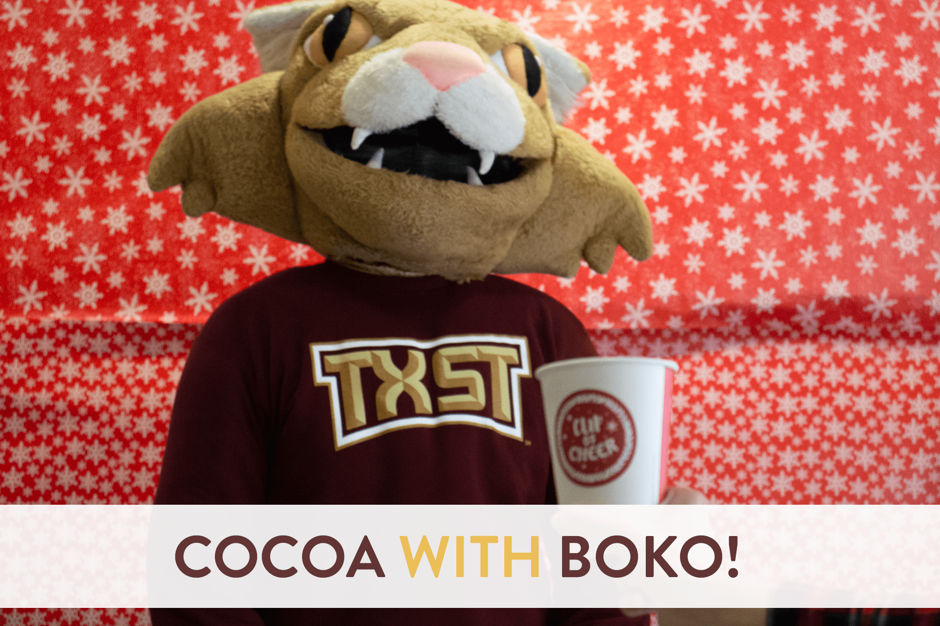 coco with boko graphic