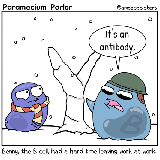 Single panel comic of a immune cell building a Y-shaped snowman and saying "It's an antibody." The caption reads "Benny, the B cell, had a hard time leaving work at work."